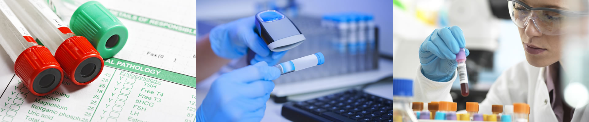 Laboratory photos